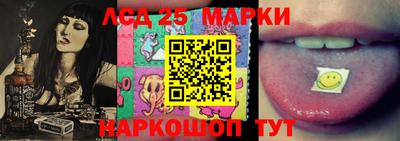 бошки Шелехов