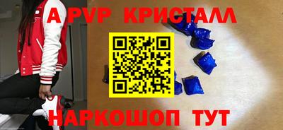 бошки Шелехов