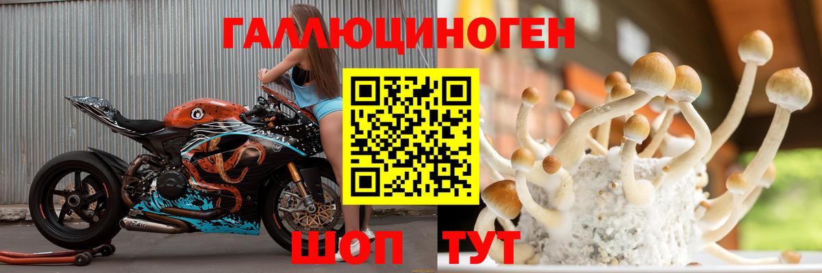 Галлюциногенные грибы MAGIC MUSHROOMS  Вход с VPN  Всеволожск 